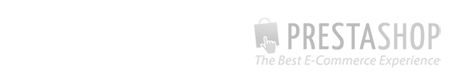 E Commerce Web Promotion In Companies
