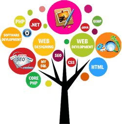 Portal Development Company In Delhi, Best .net Training West Delhi